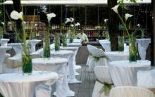 Barski sto, stolica i dekoracija