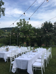 Tiffany stolice event 100